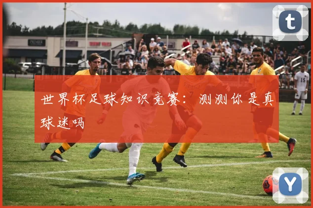 世界杯足球知识竞赛：测测你是真球迷吗