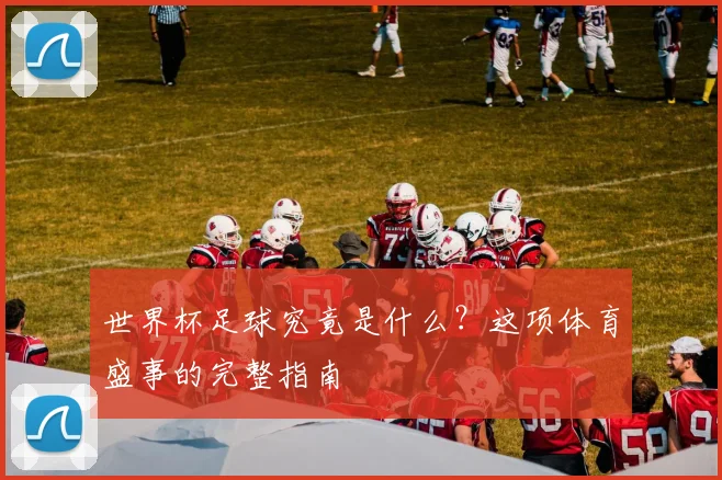 世界杯足球究竟是什么？这项体育盛事的完整指南