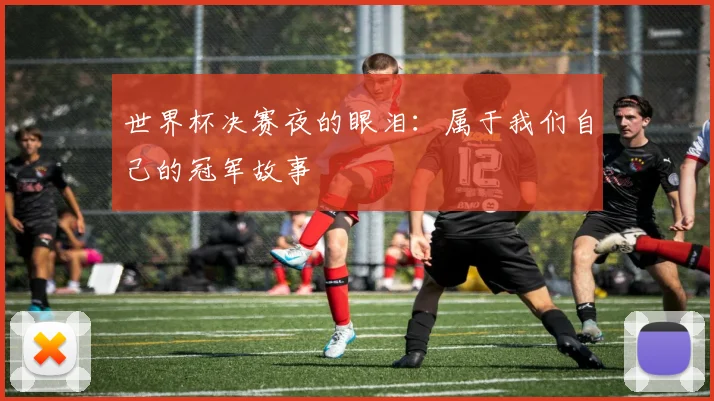 世界杯决赛夜的眼泪:属于我们自己的冠军故事