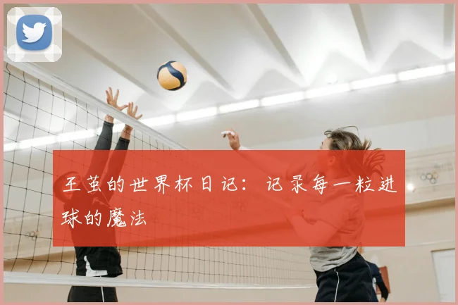 王茧的世界杯日记：记录每一粒进球的魔法