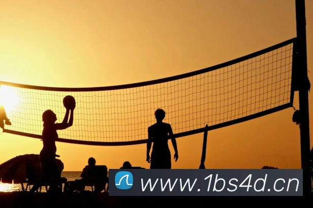 leyu乐鱼登录入口APP 封面图